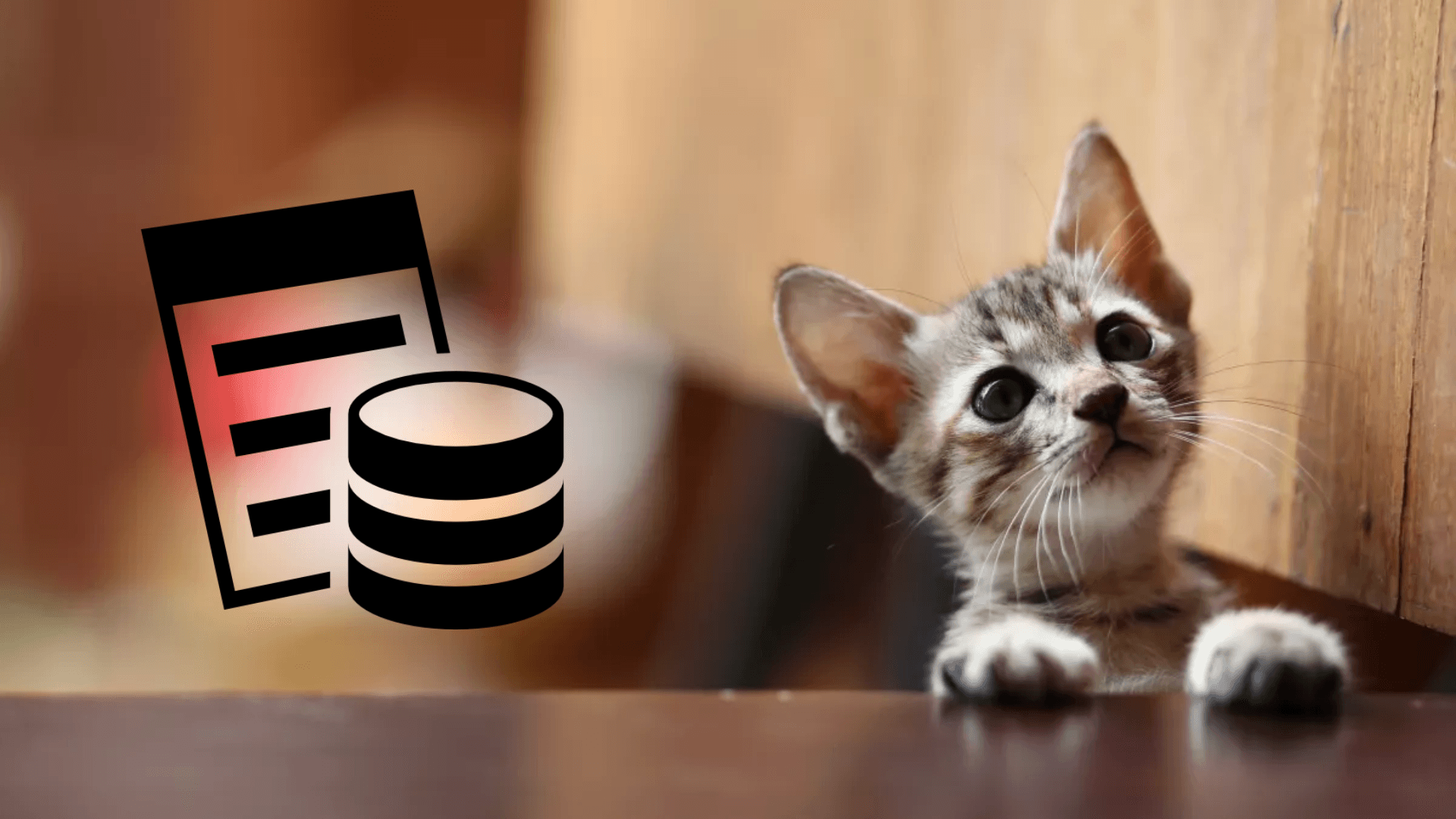 Chaton Database Symfony