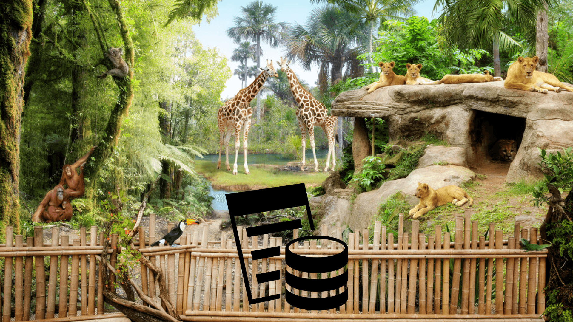 Zoo Symfony